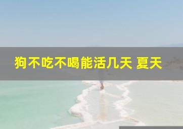 狗不吃不喝能活几天 夏天